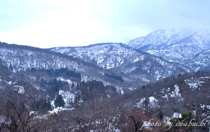 鮫ヶ尾城山5