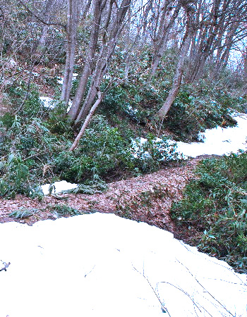 鮫ヶ尾城山9