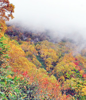 妙高山15