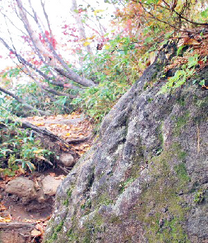 妙高山18