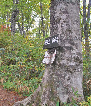 妙高山4