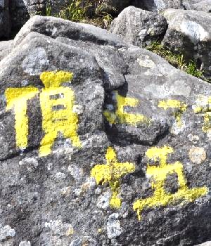 ph14