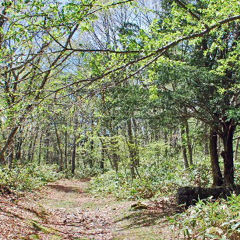 和田峠山12