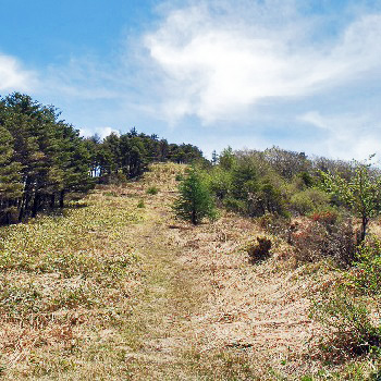 和田峠山21