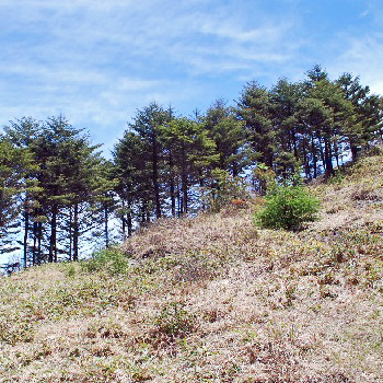 和田峠山22