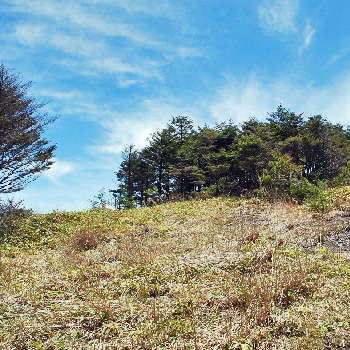 和田峠山23