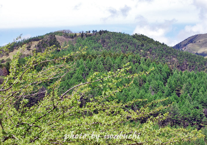 和田峠山24