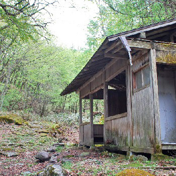 和田峠山4