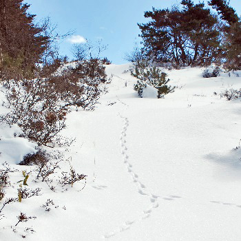 和田峠山17