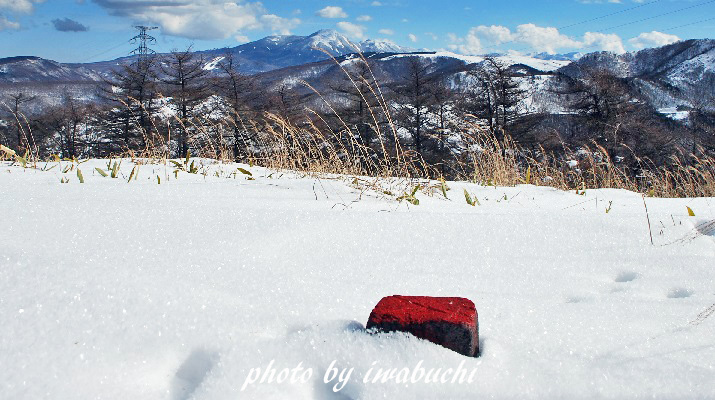 和田峠山19