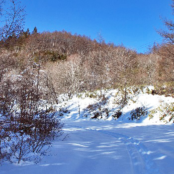 和田峠山2
