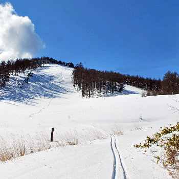 和田峠山4