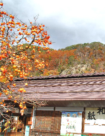 鳥羽山3