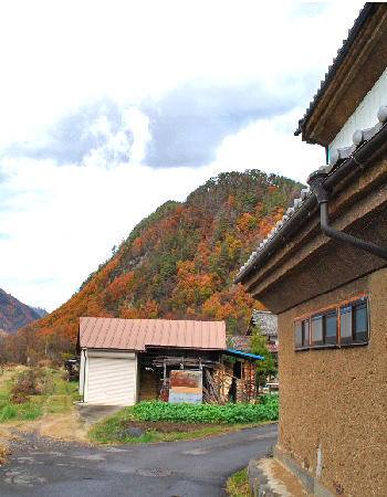鳥羽山6