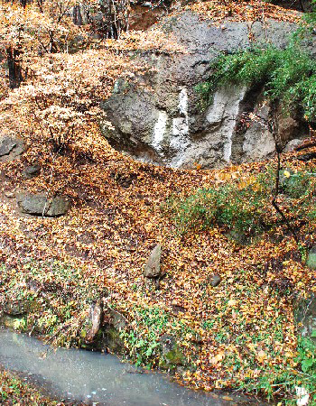 鳥羽山9