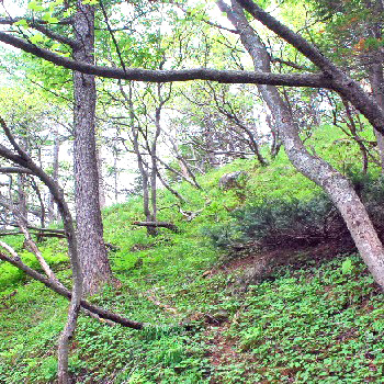 剣ヶ峰15