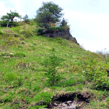 剣ヶ峰19