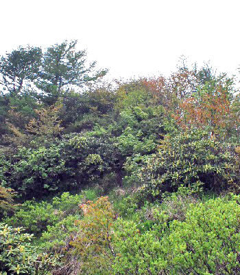 剣ヶ峰22