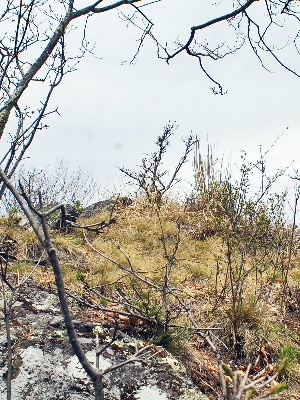 霧隠岩23
