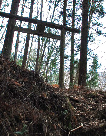 子檀嶺岳8