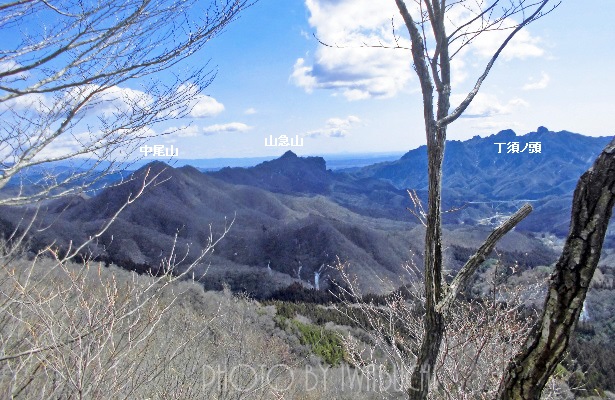 東矢ヶ崎山10