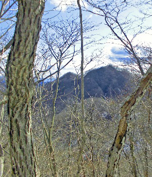 東矢ヶ崎山3