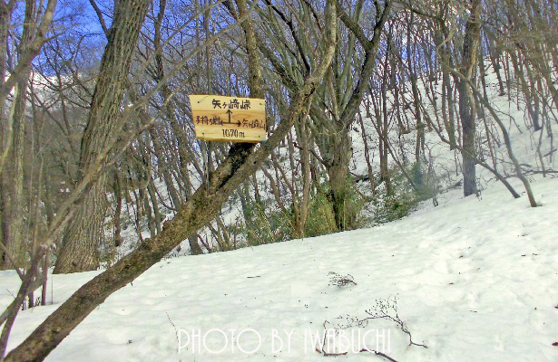 東矢ヶ崎山5
