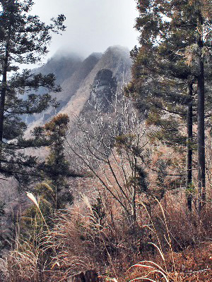 東矢ヶ崎山10