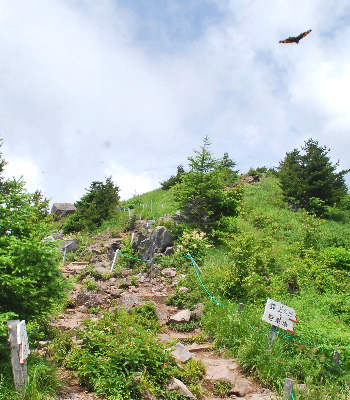 見晴岳12