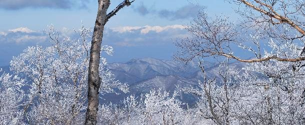 湯ノ丸山12