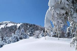 湯ノ丸山14