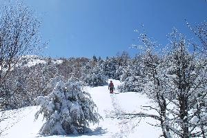 湯ノ丸山15