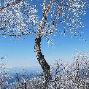 湯ノ丸山23
