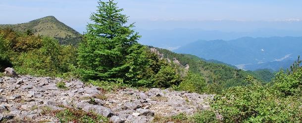 湯ノ丸山11