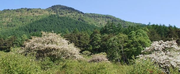 湯ノ丸山15
