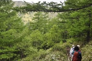 湯ノ丸山2