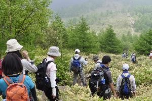湯ノ丸山9