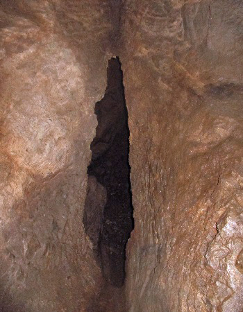 TR19