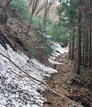 雨首5