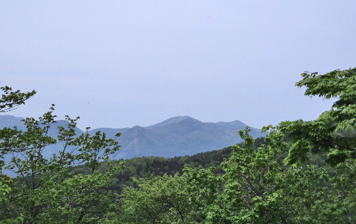 バラキ山6