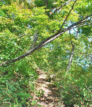 飯盛山16