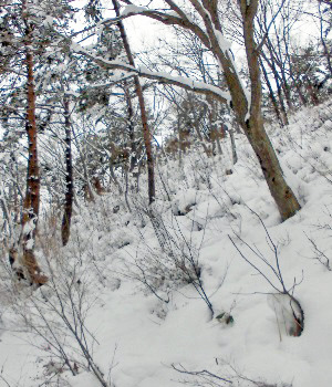 飯盛山4