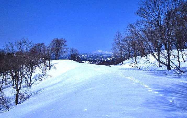 菱ヶ岳2