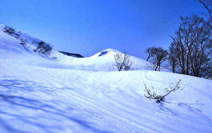菱ヶ岳6