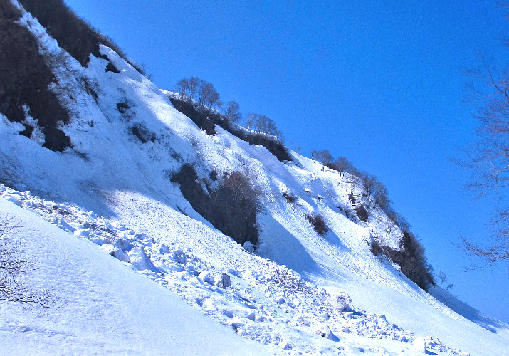 菱ヶ岳14