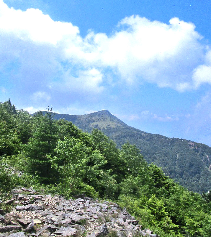 湯ノ丸山3